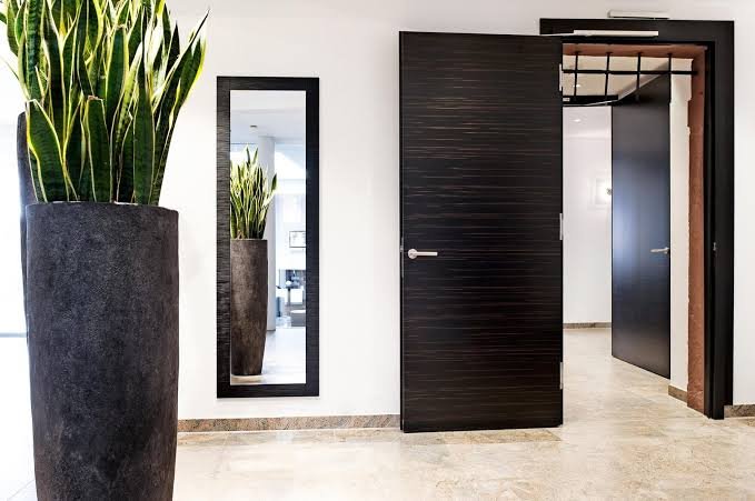 Modern Flush Door